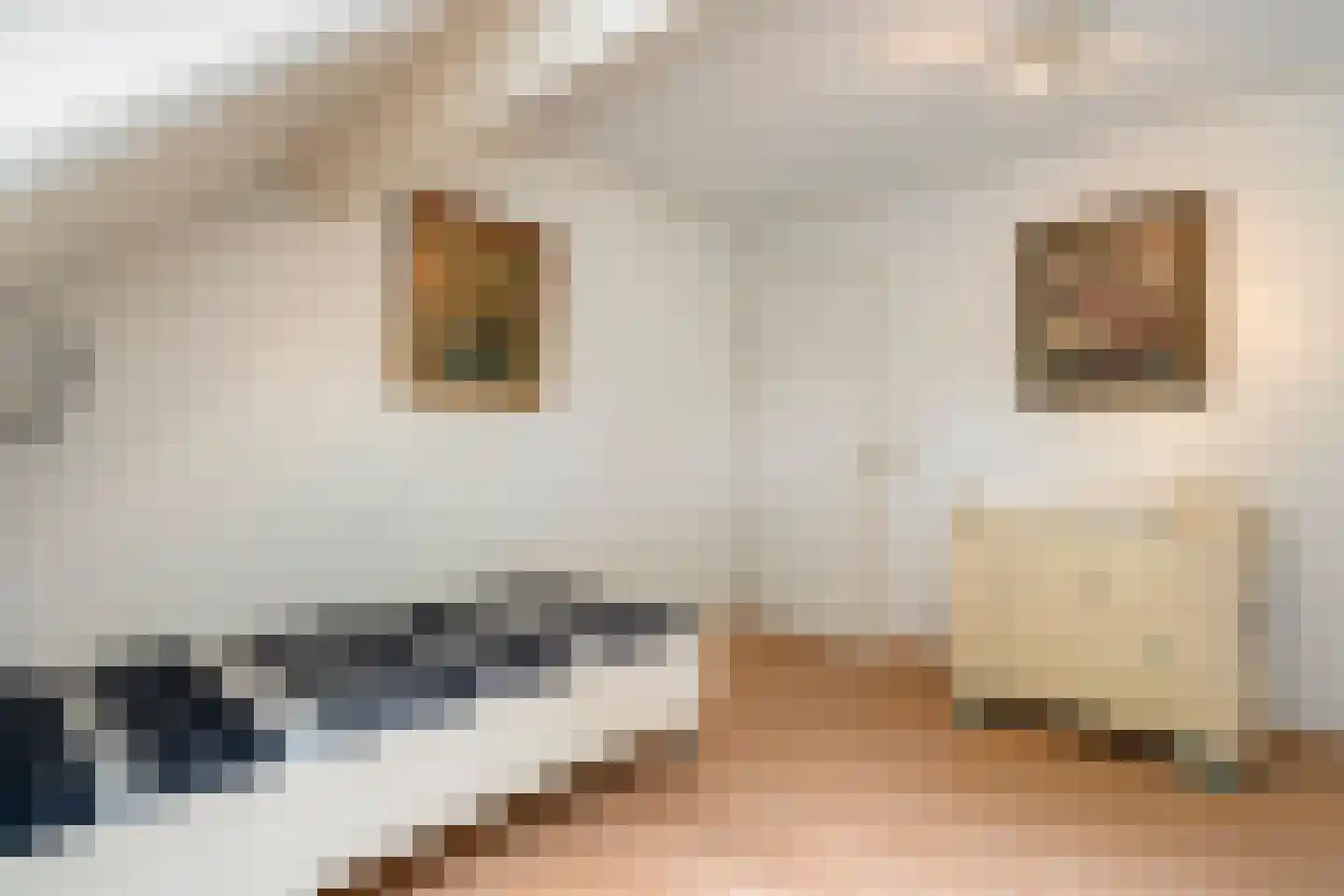 Homerusstraat 106 Apeldoorn thumbnail 41