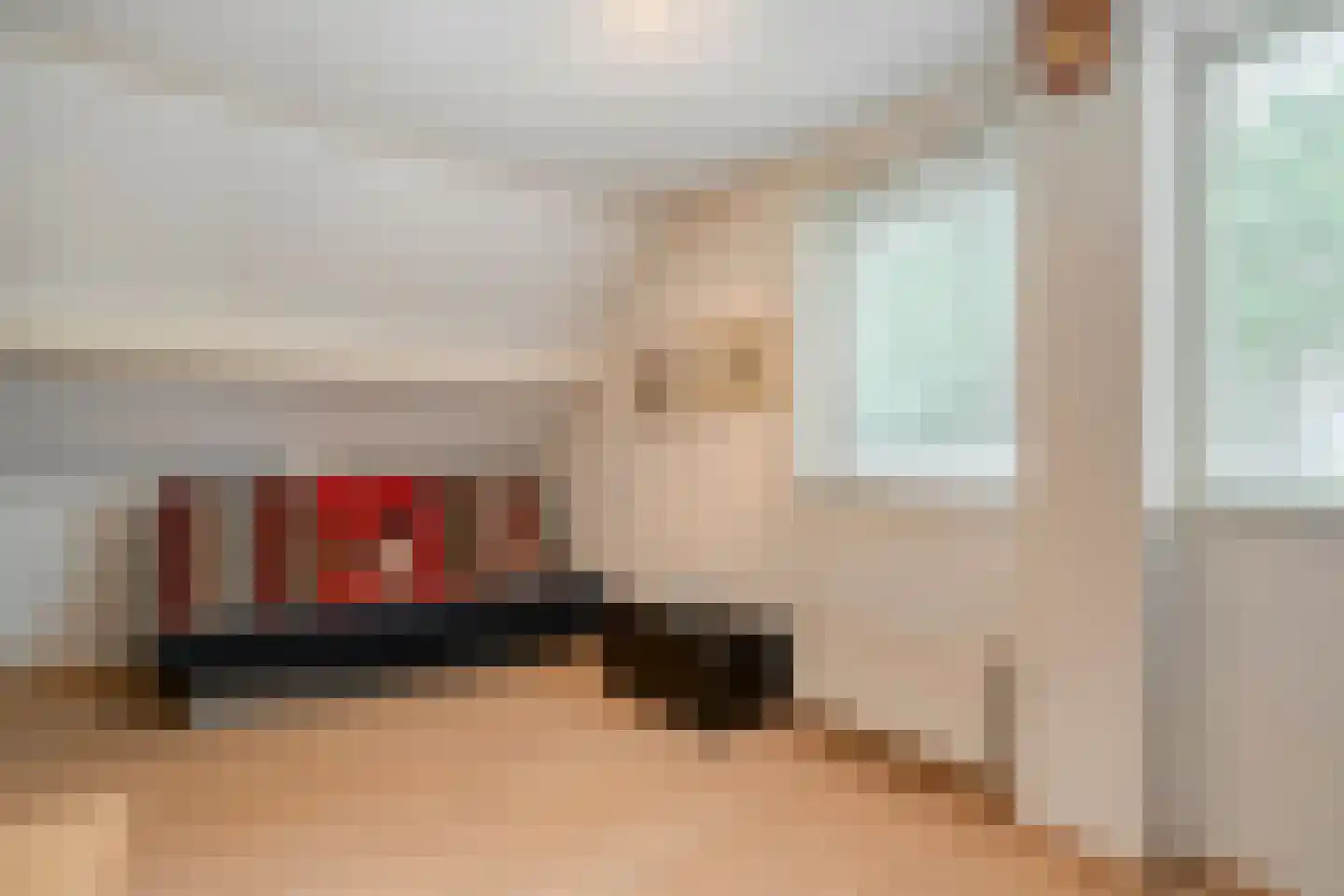 Homerusstraat 106 Apeldoorn thumbnail 42