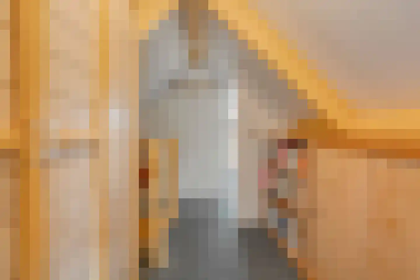 Homerusstraat 106 Apeldoorn thumbnail 48