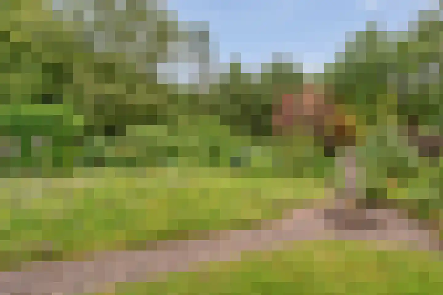 Homerusstraat 106 Apeldoorn thumbnail 58
