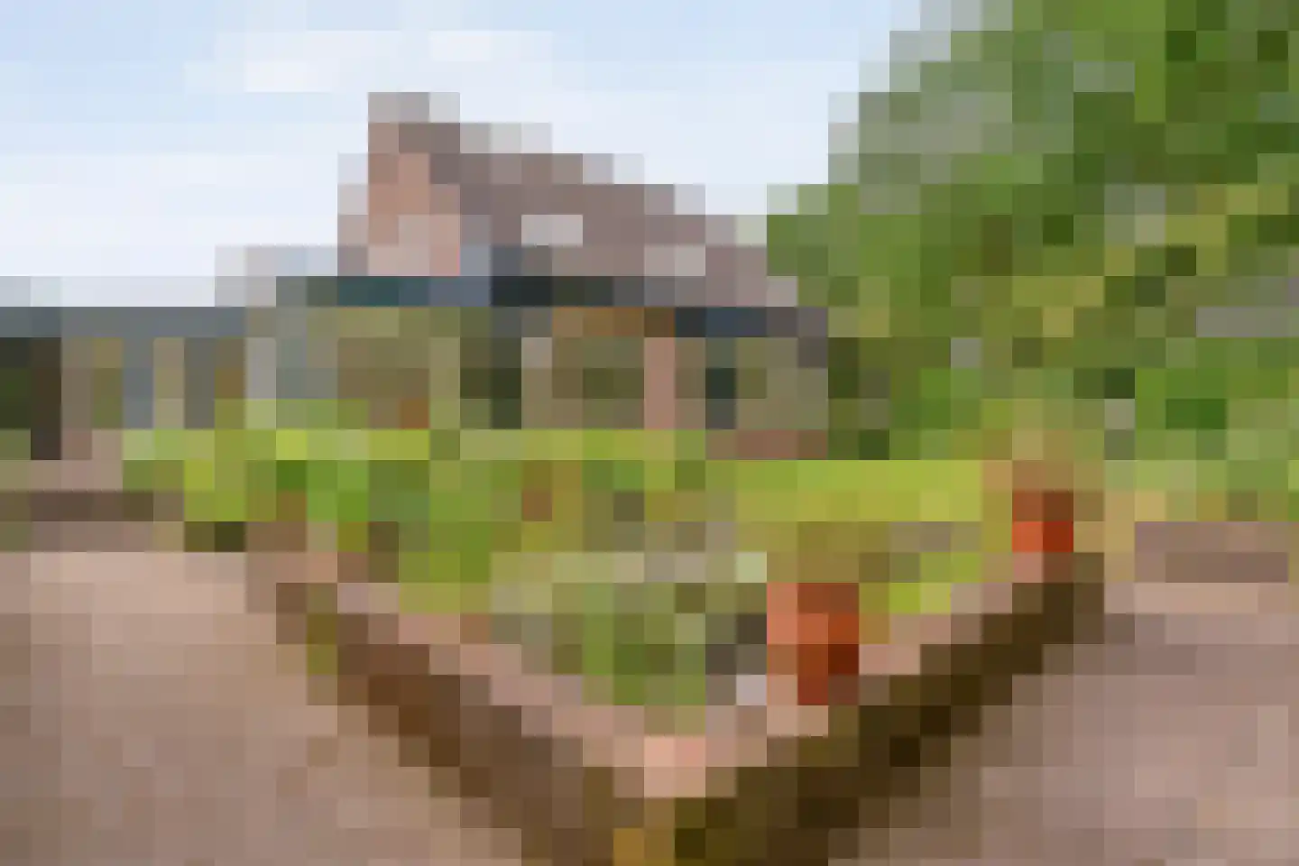 Homerusstraat 106 Apeldoorn thumbnail 63