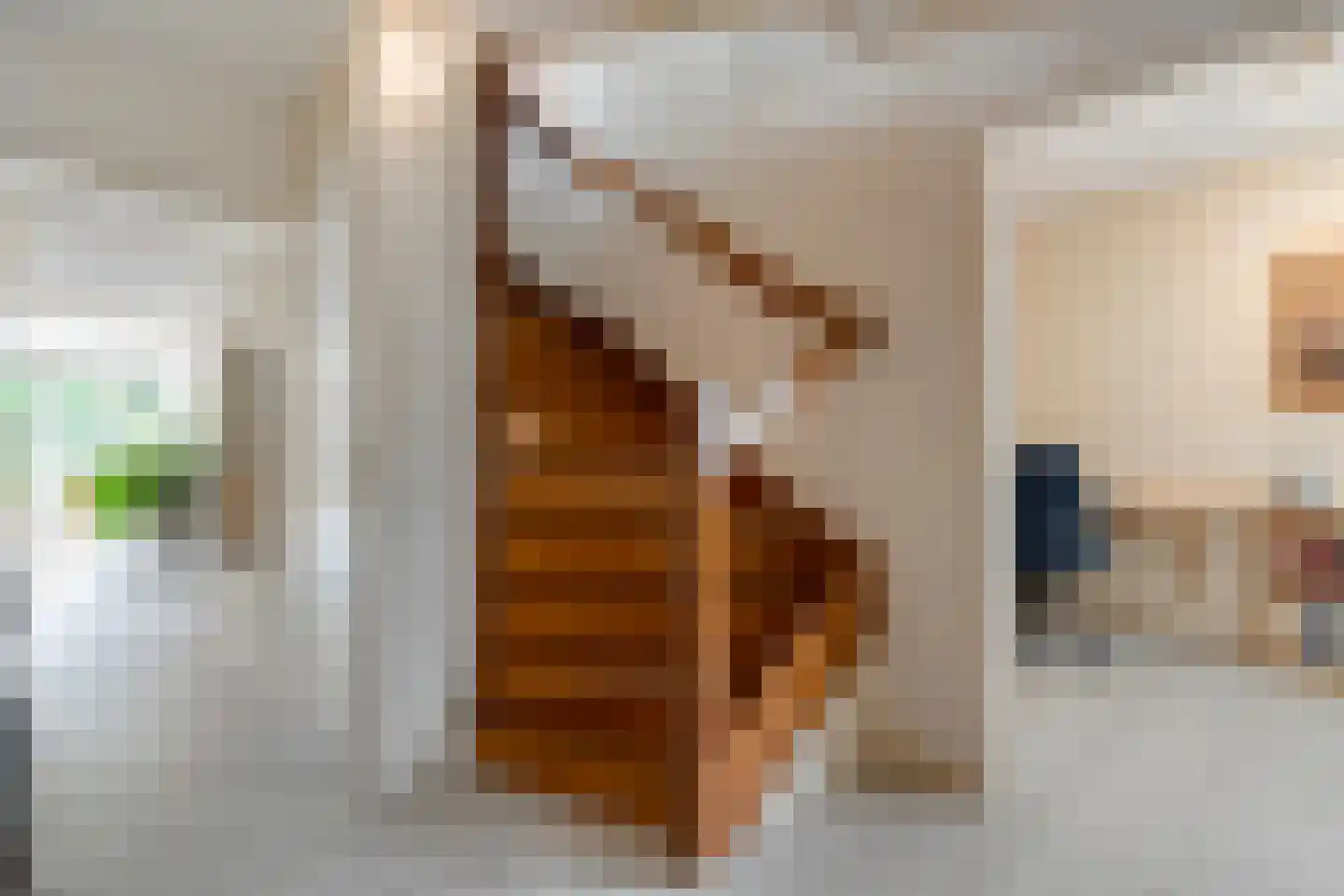 Homerusstraat 106 Apeldoorn thumbnail 8