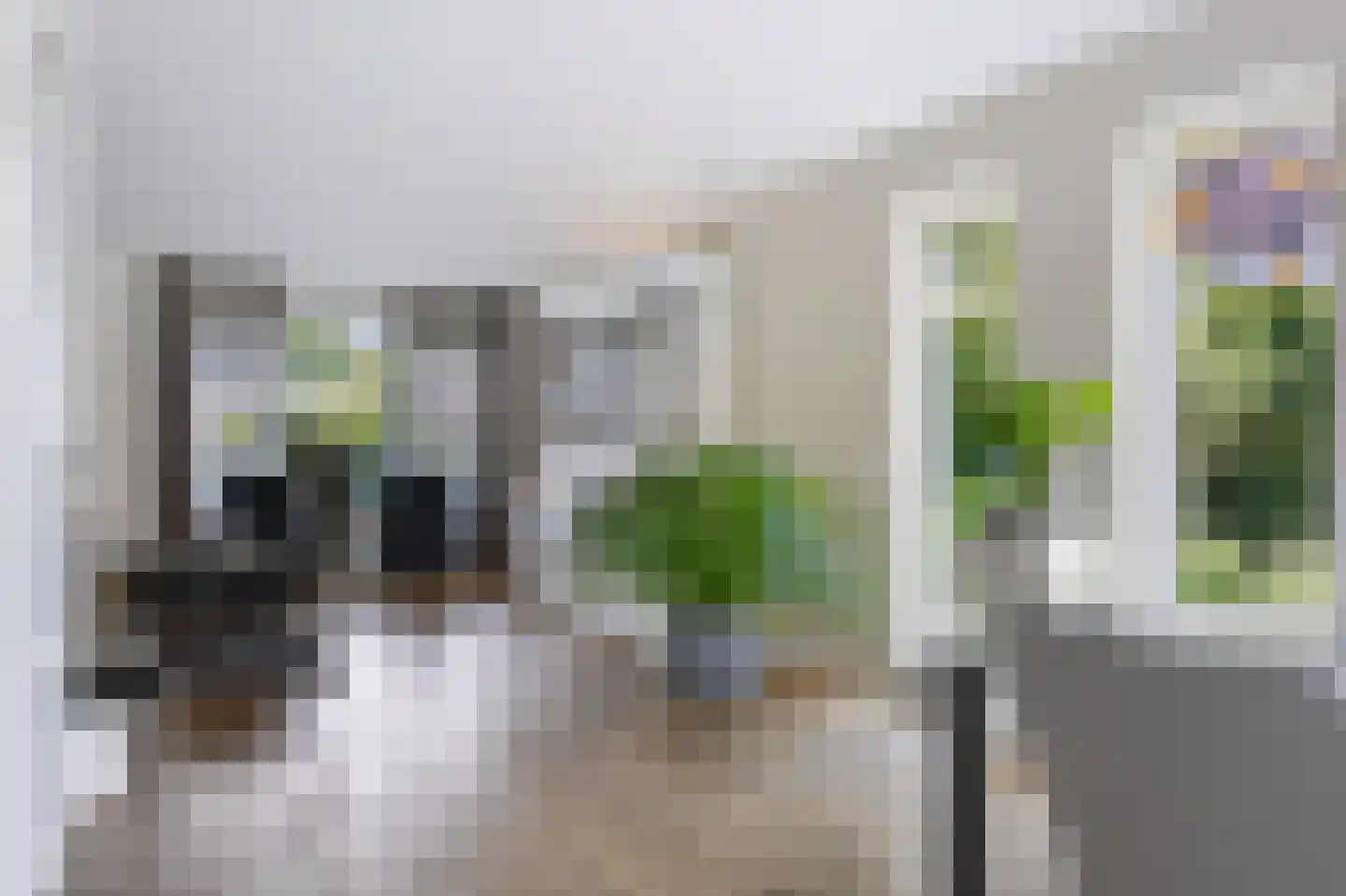 Homerusstraat 23 Apeldoorn thumbnail 11