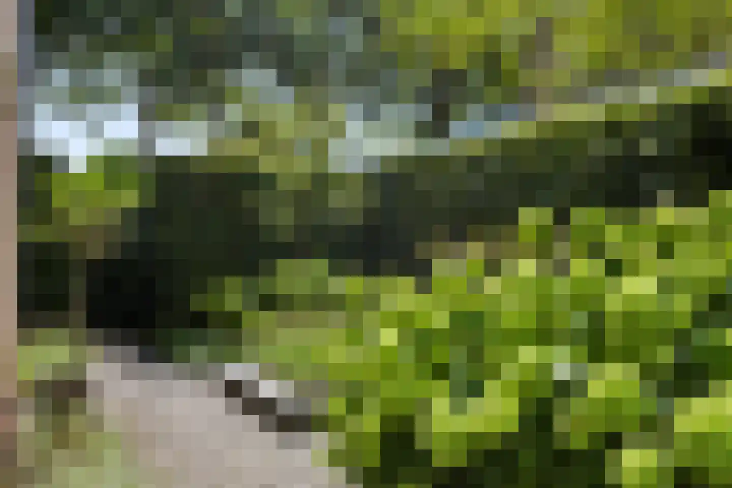 Homerusstraat 23 Apeldoorn thumbnail 34
