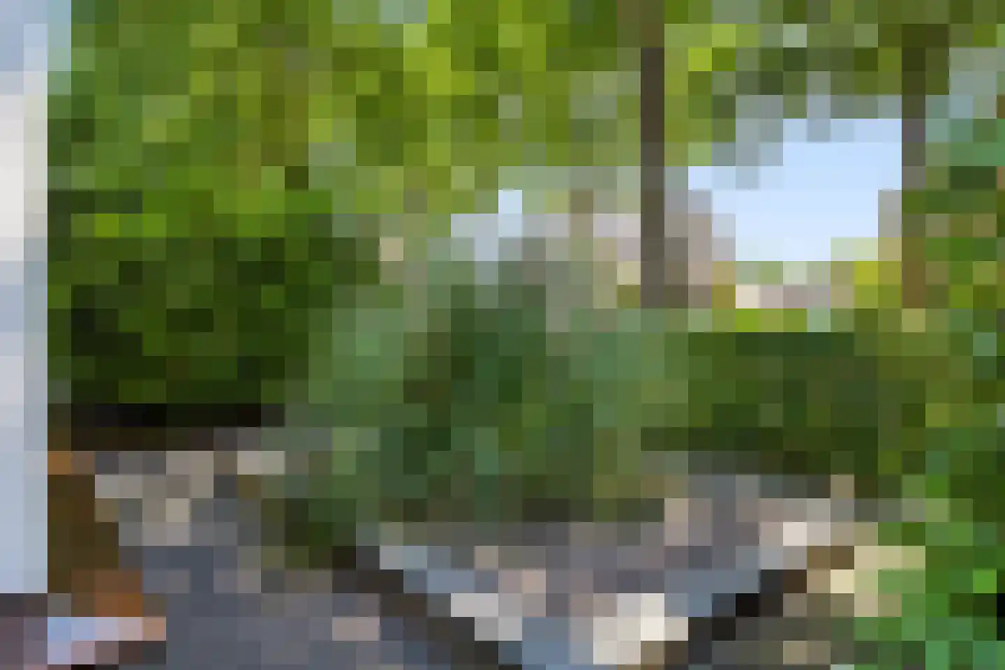 Homerusstraat 23 Apeldoorn thumbnail 40