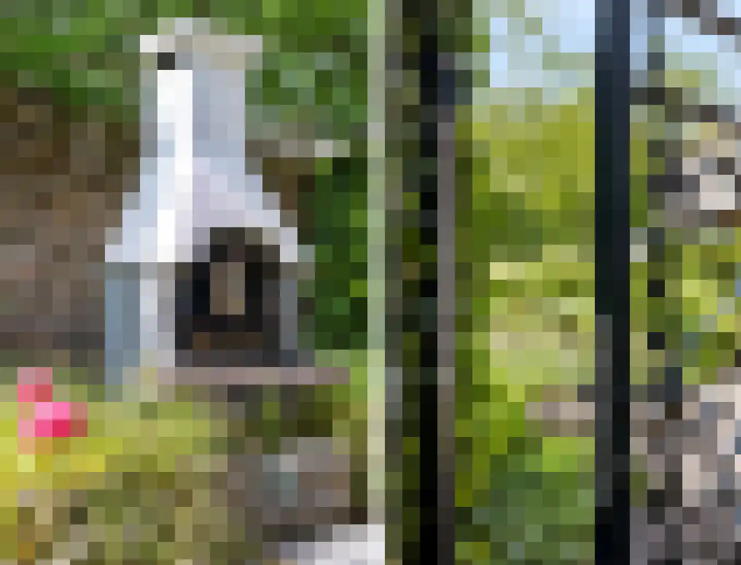 Homerusstraat 23 Apeldoorn thumbnail 41