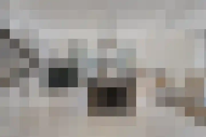 Homerusstraat 40 Apeldoorn thumbnail 11