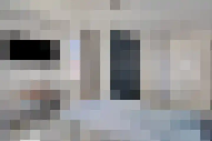Homerusstraat 40 Apeldoorn thumbnail 27