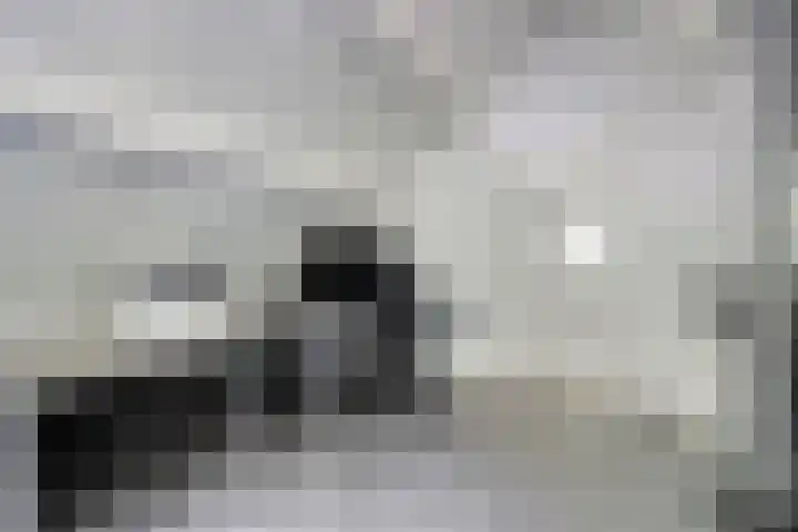 Homerusstraat 40 Apeldoorn thumbnail 31
