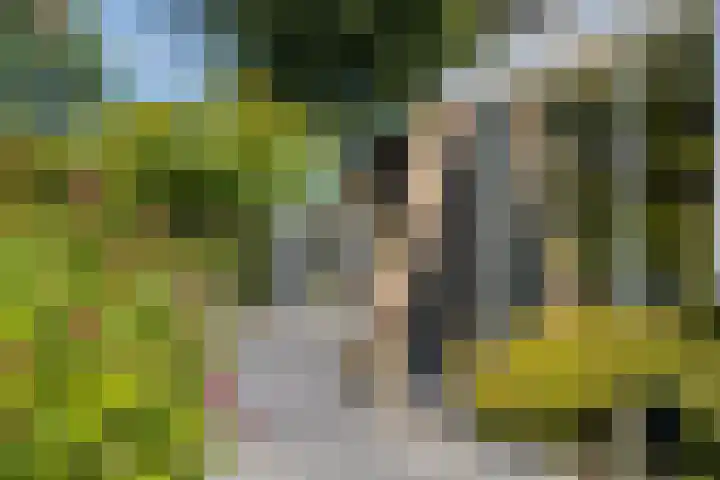 Homerusstraat 40 Apeldoorn thumbnail 37
