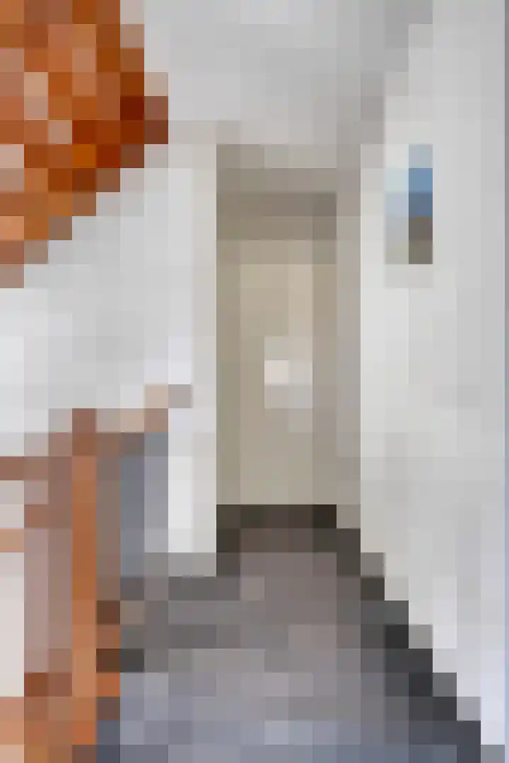 Homerusstraat 40 Apeldoorn thumbnail 38