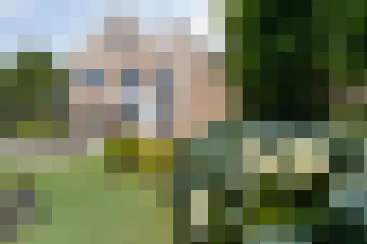 Homerusstraat 40 Apeldoorn thumbnail 41