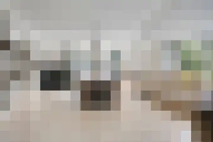 Homerusstraat 40 Apeldoorn thumbnail 7