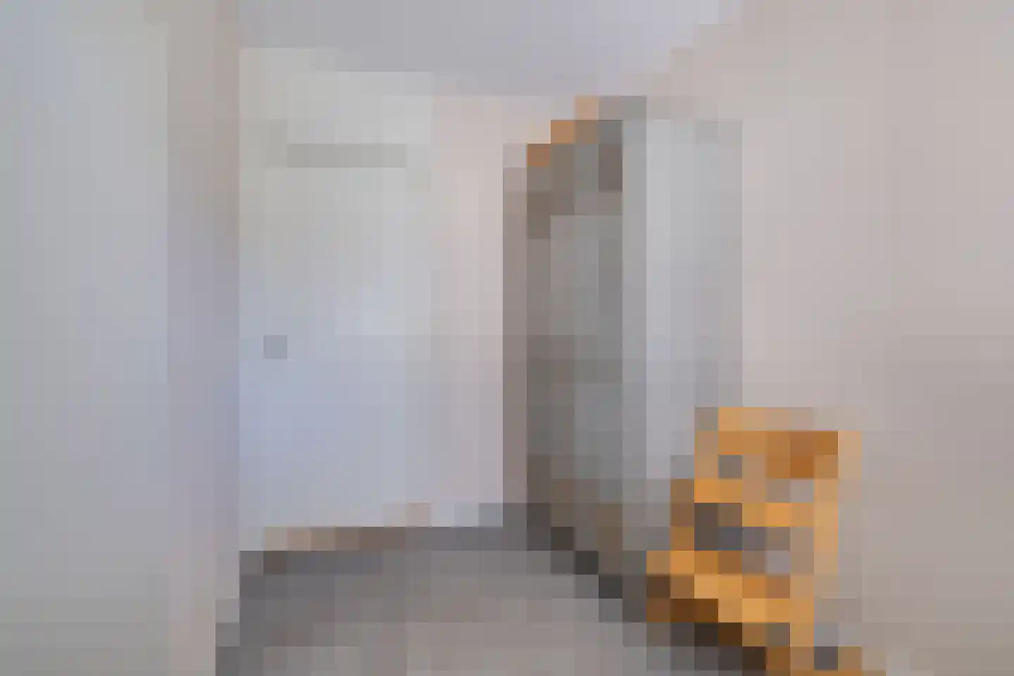 Homerusstraat 42 Apeldoorn thumbnail 15