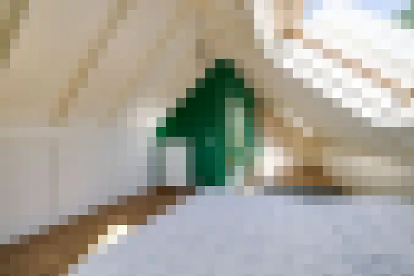 Homerusstraat 42 Apeldoorn thumbnail 20