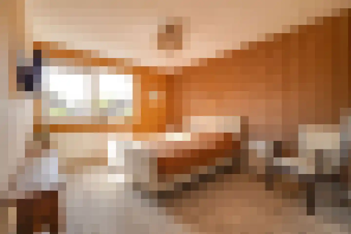 Homerusstraat 42 Apeldoorn thumbnail 28