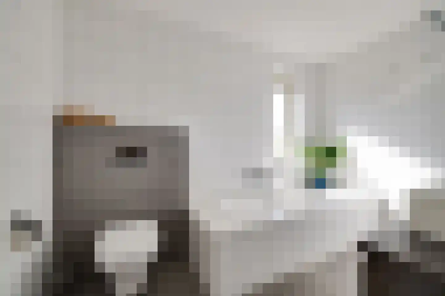 Homerusstraat 42 Apeldoorn thumbnail 33