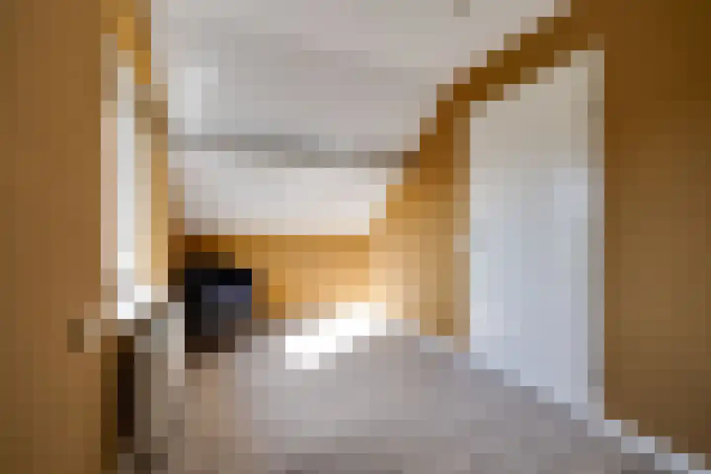 Homerusstraat 42 Apeldoorn thumbnail 39