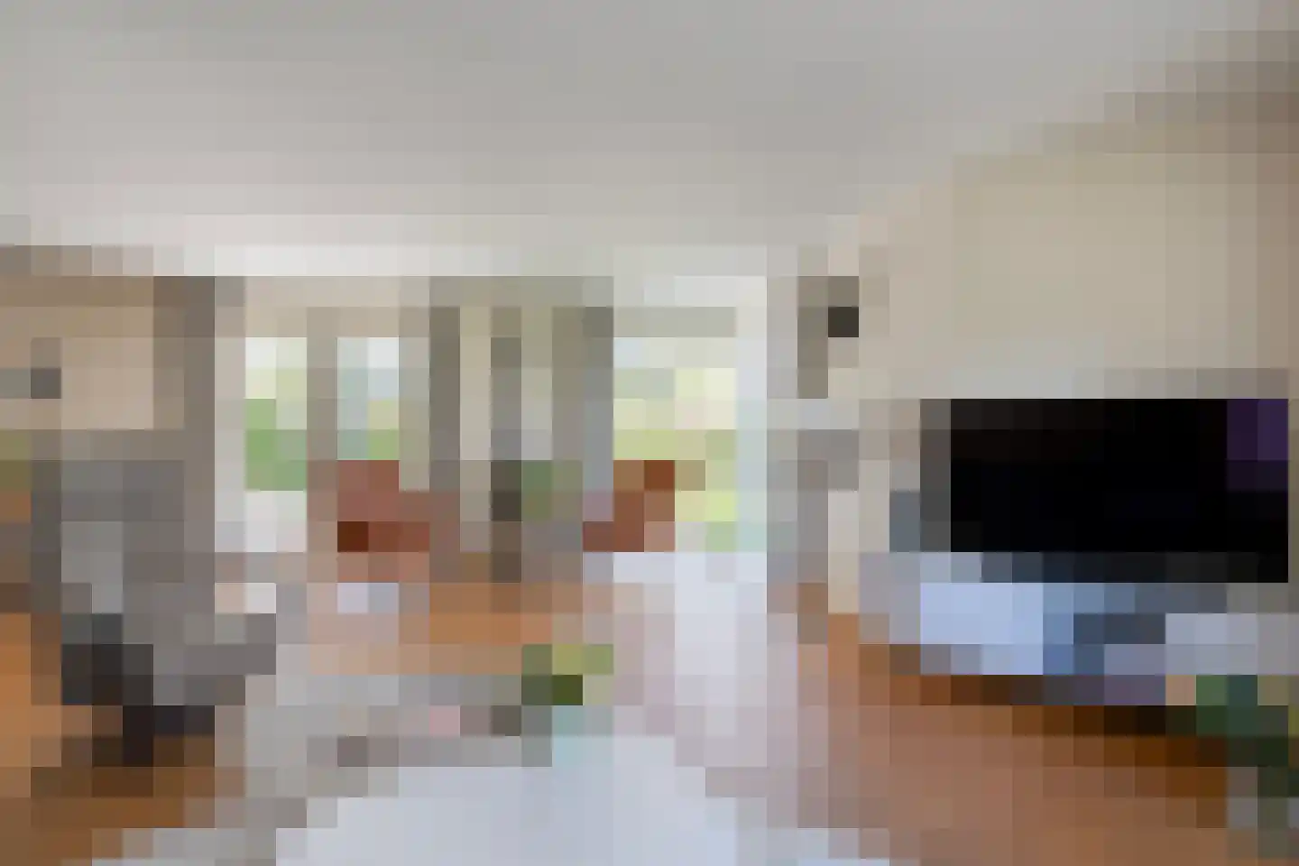 Homerusstraat 62 Apeldoorn thumbnail 13