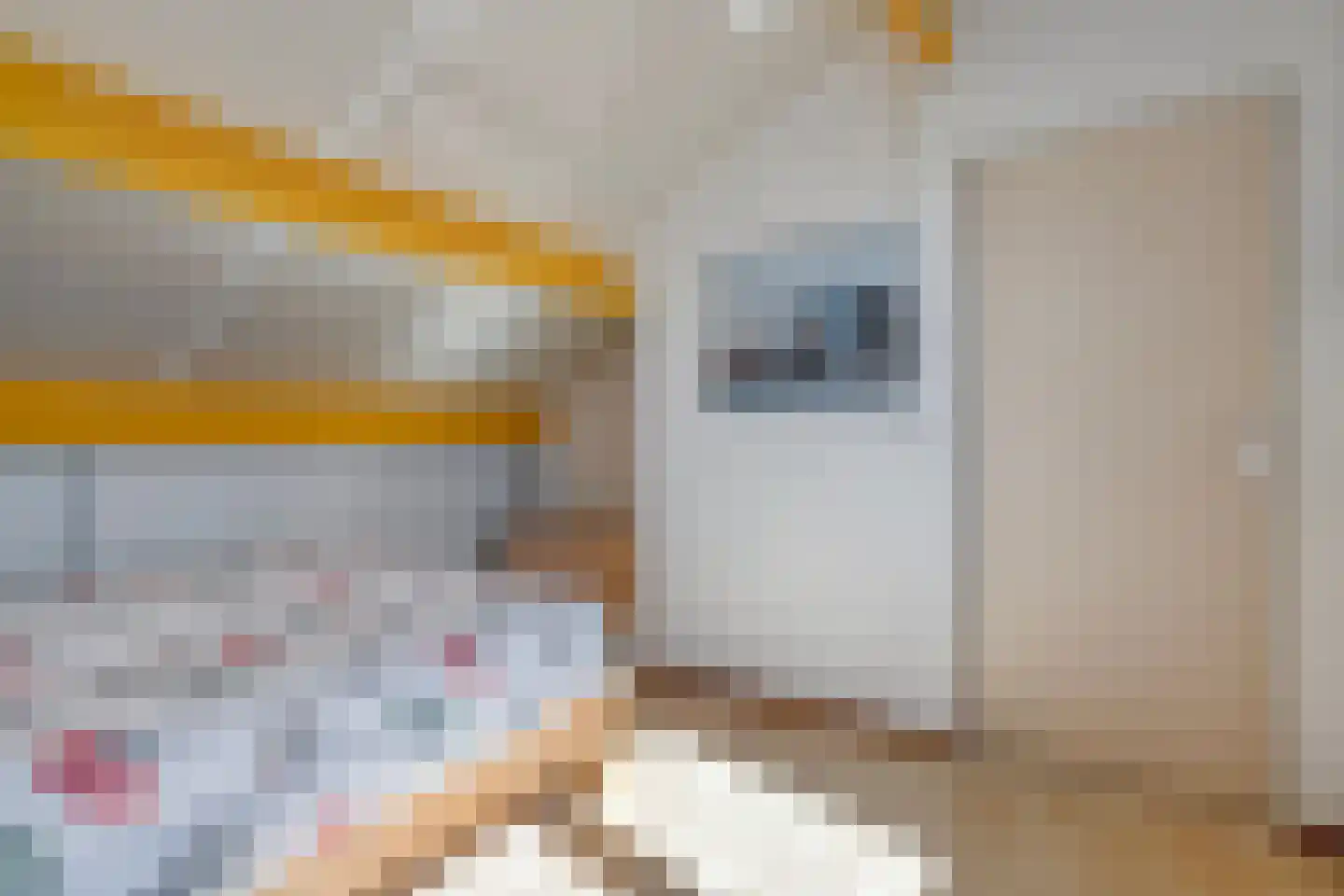 Homerusstraat 62 Apeldoorn thumbnail 23