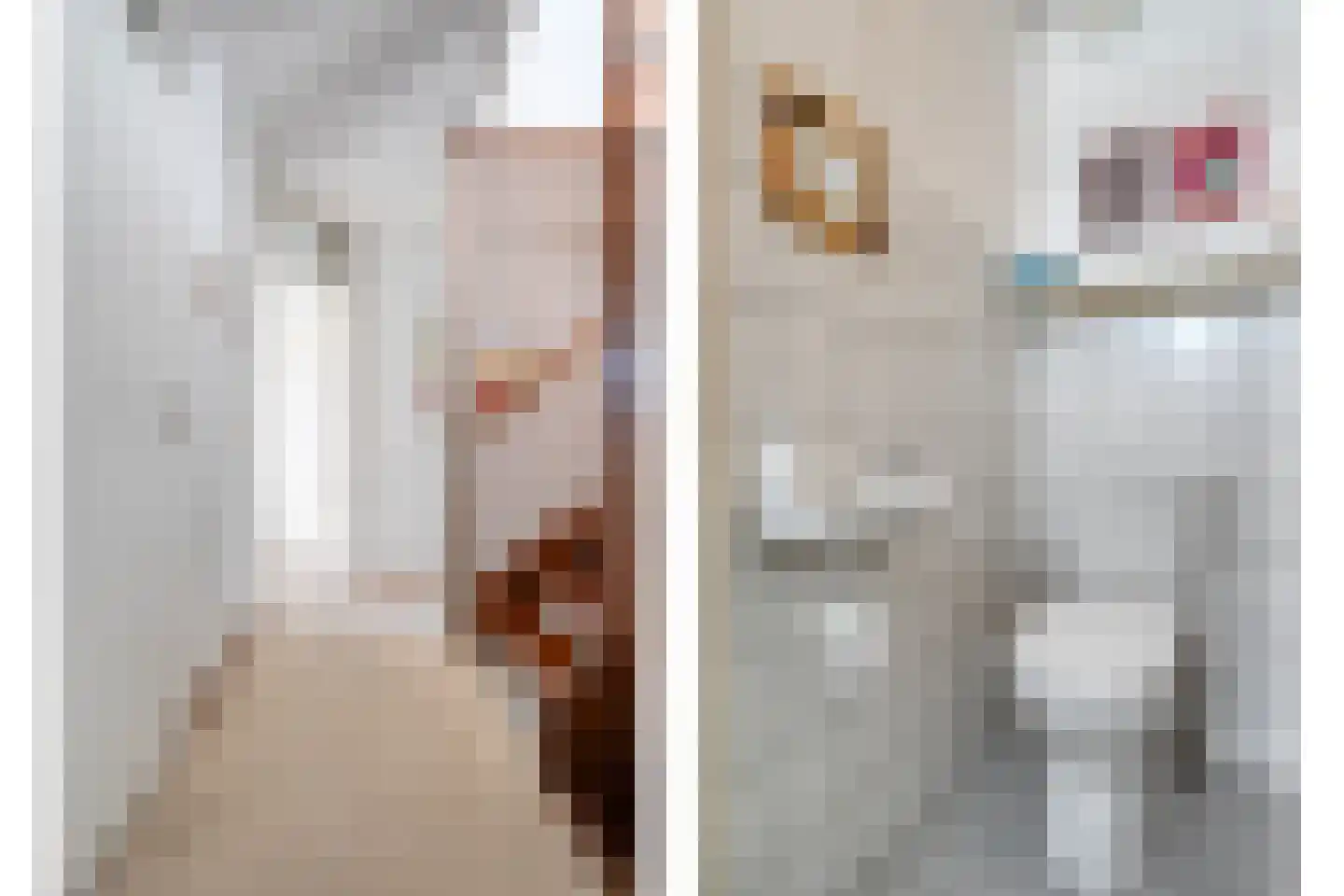 Homerusstraat 62 Apeldoorn thumbnail 30
