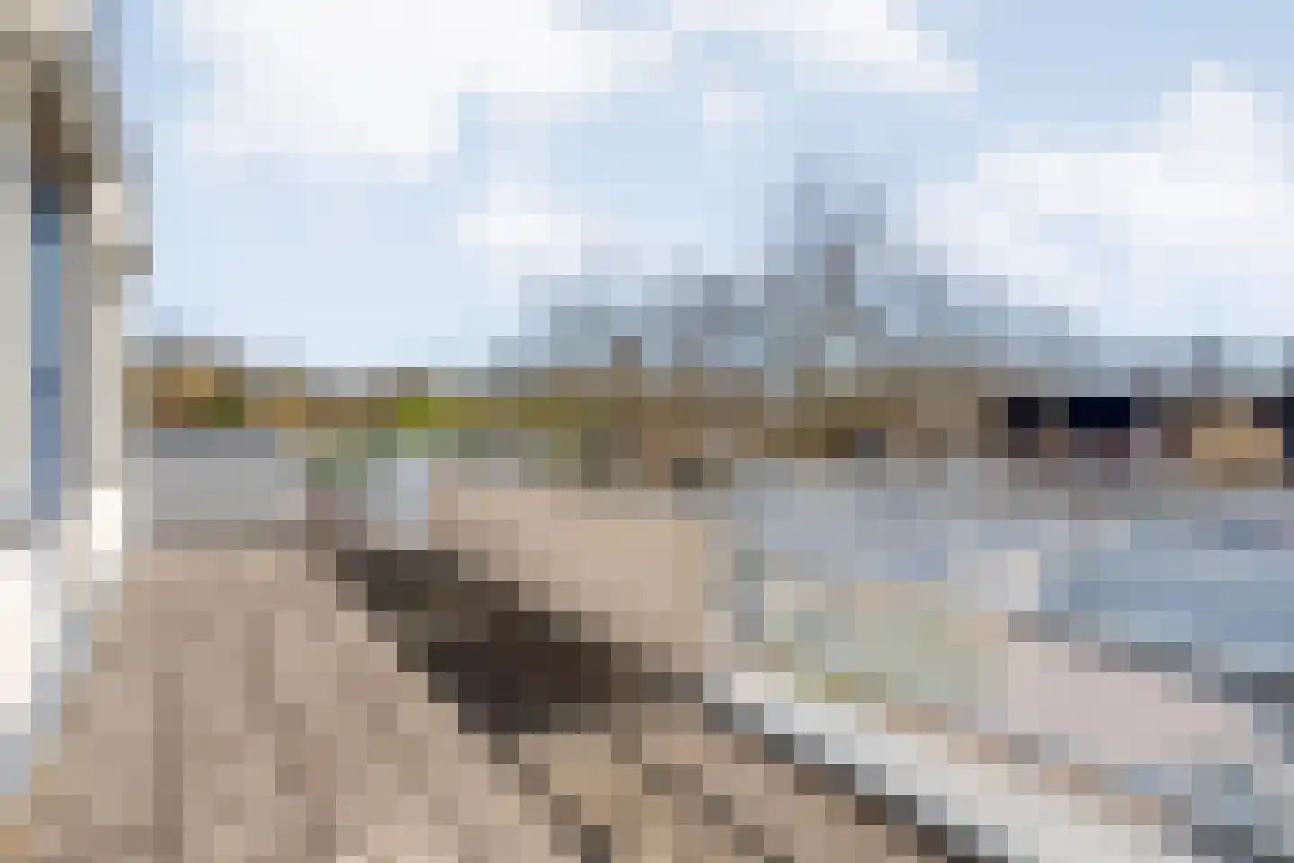 Homerusstraat 62 Apeldoorn thumbnail 41