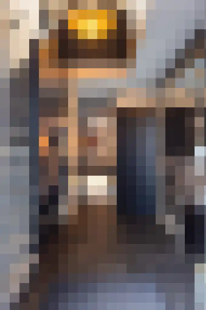 Homerusstraat 68 Apeldoorn thumbnail 21