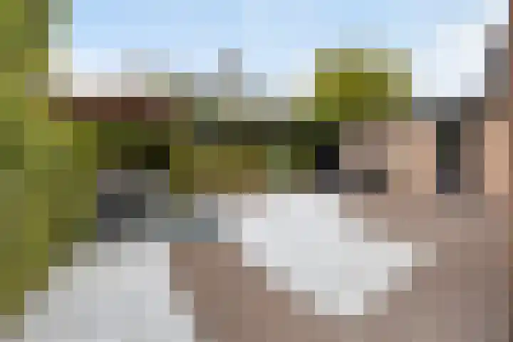 Homerusstraat 68 Apeldoorn thumbnail 34