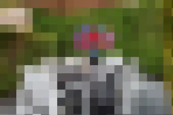 Homerusstraat 68 Apeldoorn thumbnail 35