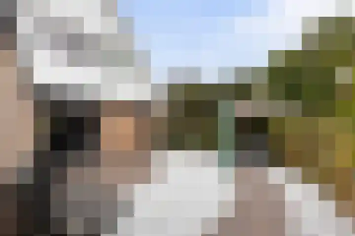 Homerusstraat 68 Apeldoorn thumbnail 36