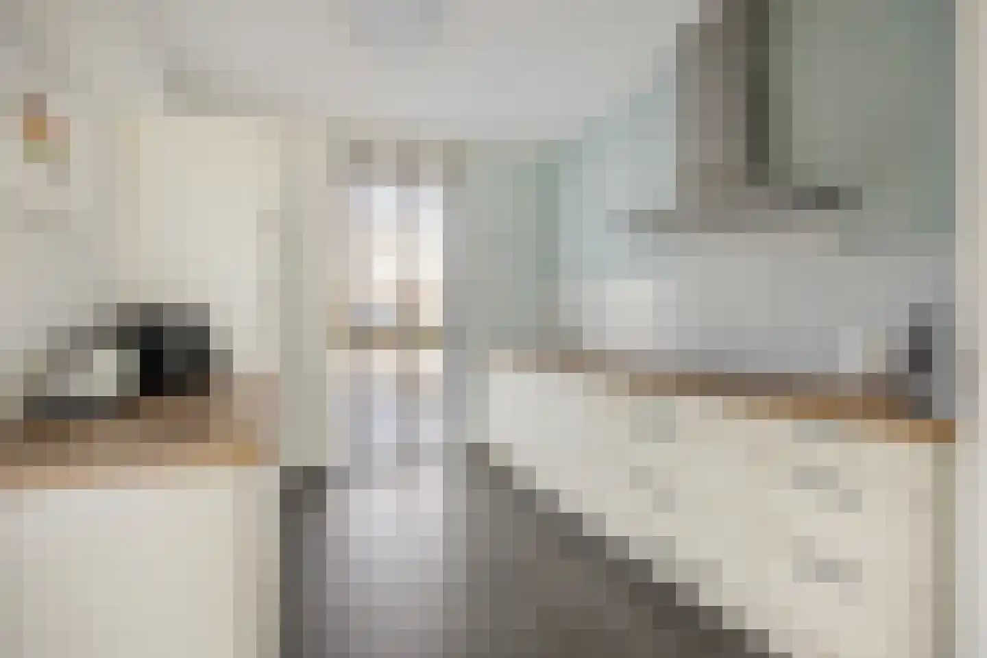Homerusstraat 756 Rotterdam thumbnail 10