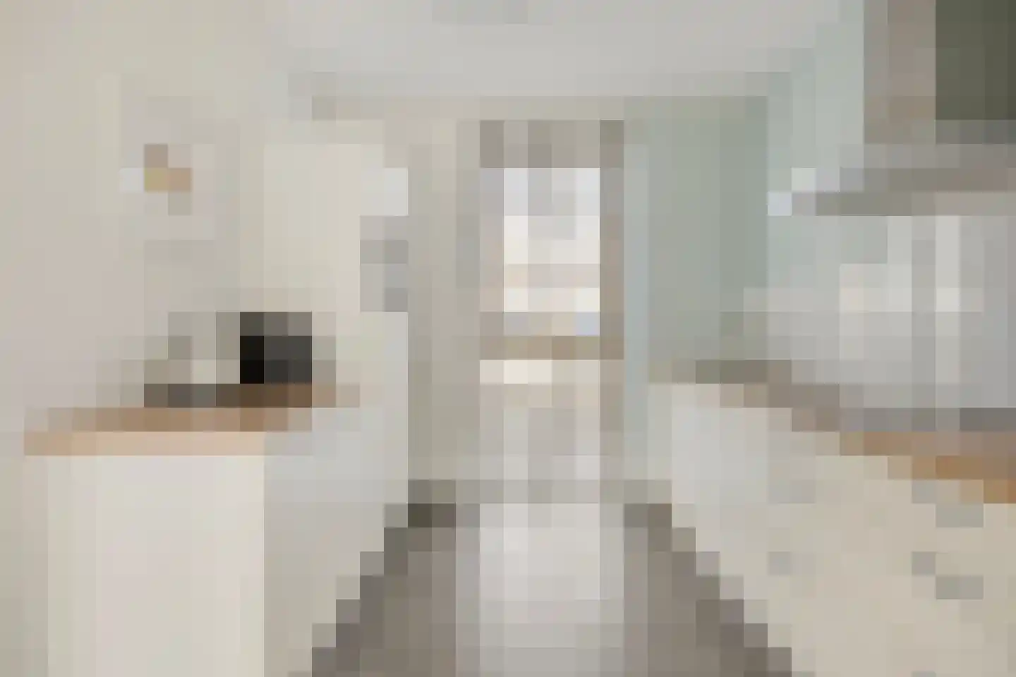 Homerusstraat 756 Rotterdam thumbnail 11