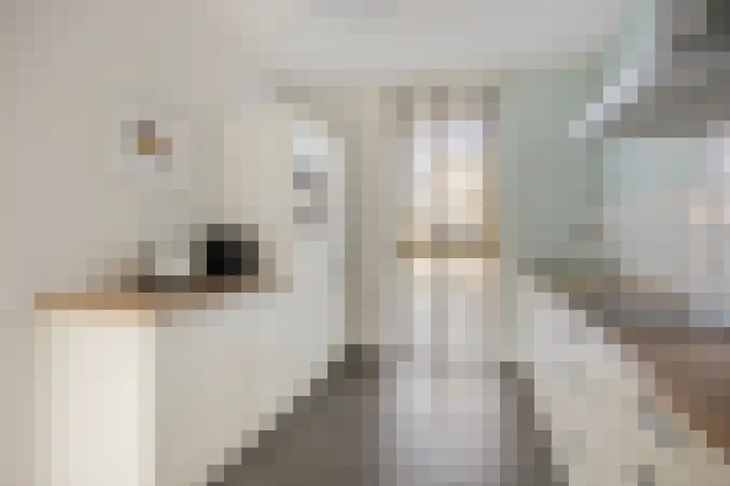Homerusstraat 756 Rotterdam thumbnail 12