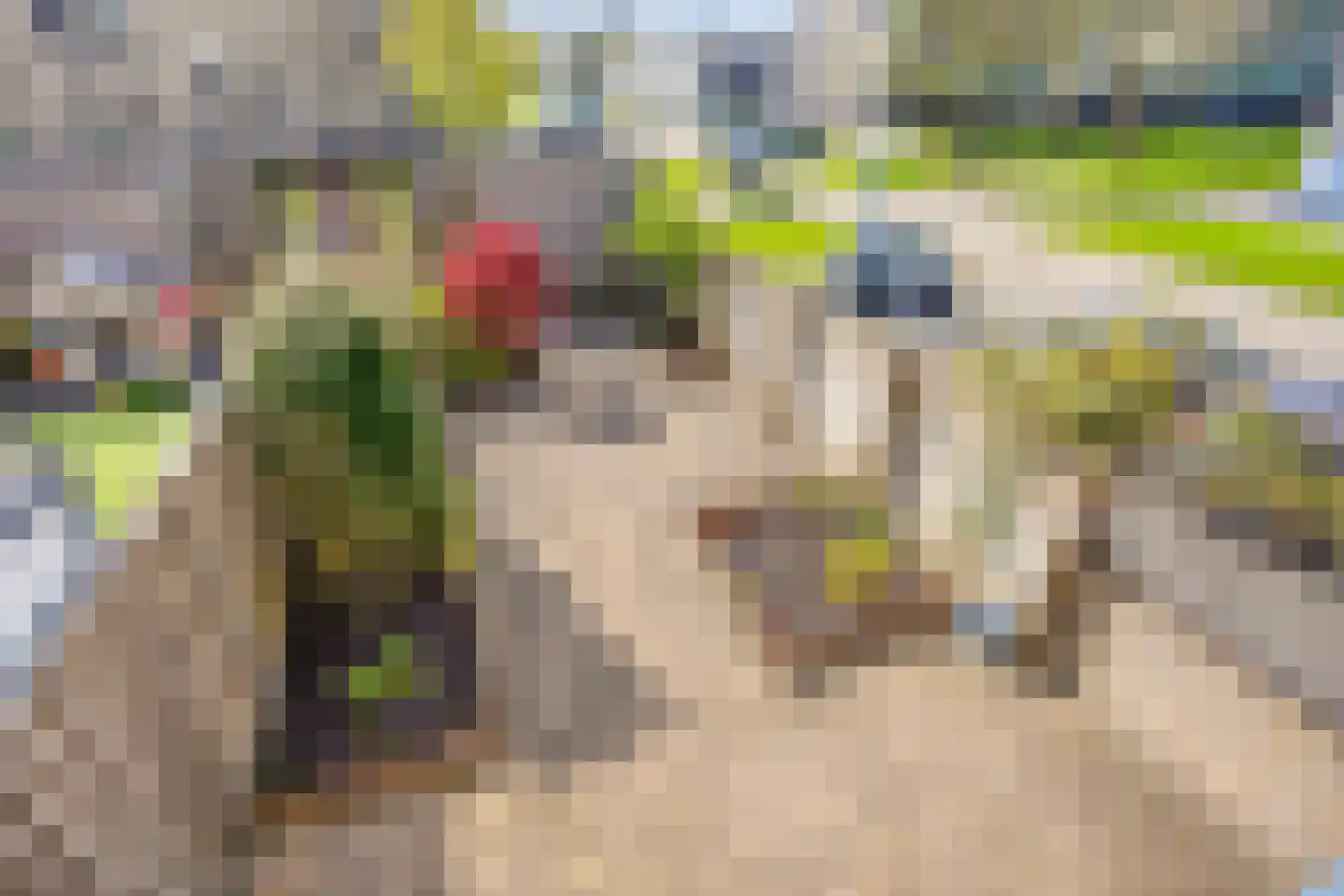 Homerusstraat 756 Rotterdam thumbnail 18