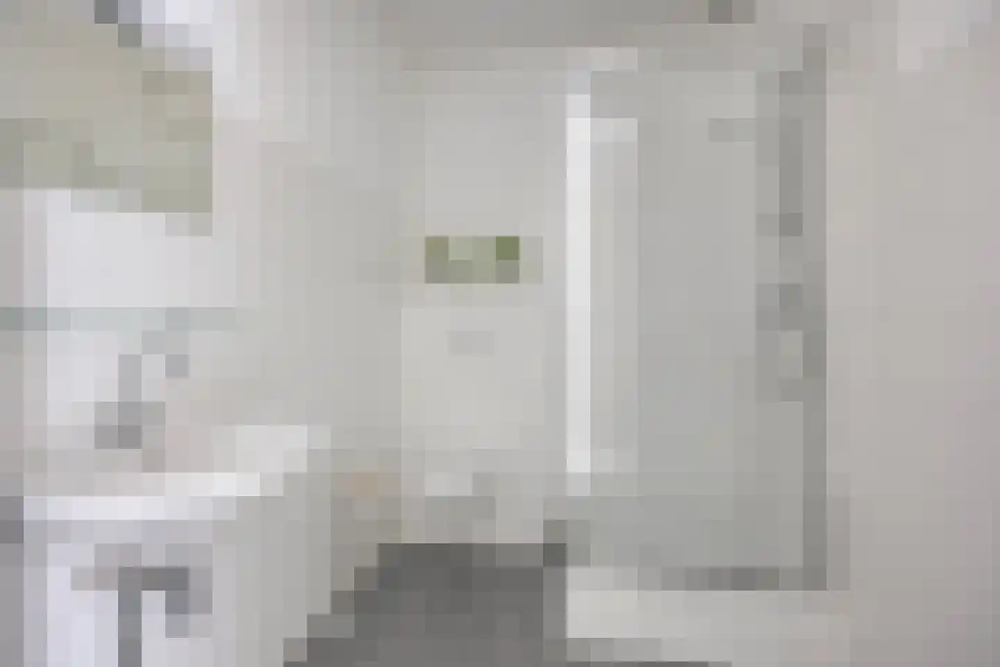 Homerusstraat 756 Rotterdam thumbnail 20