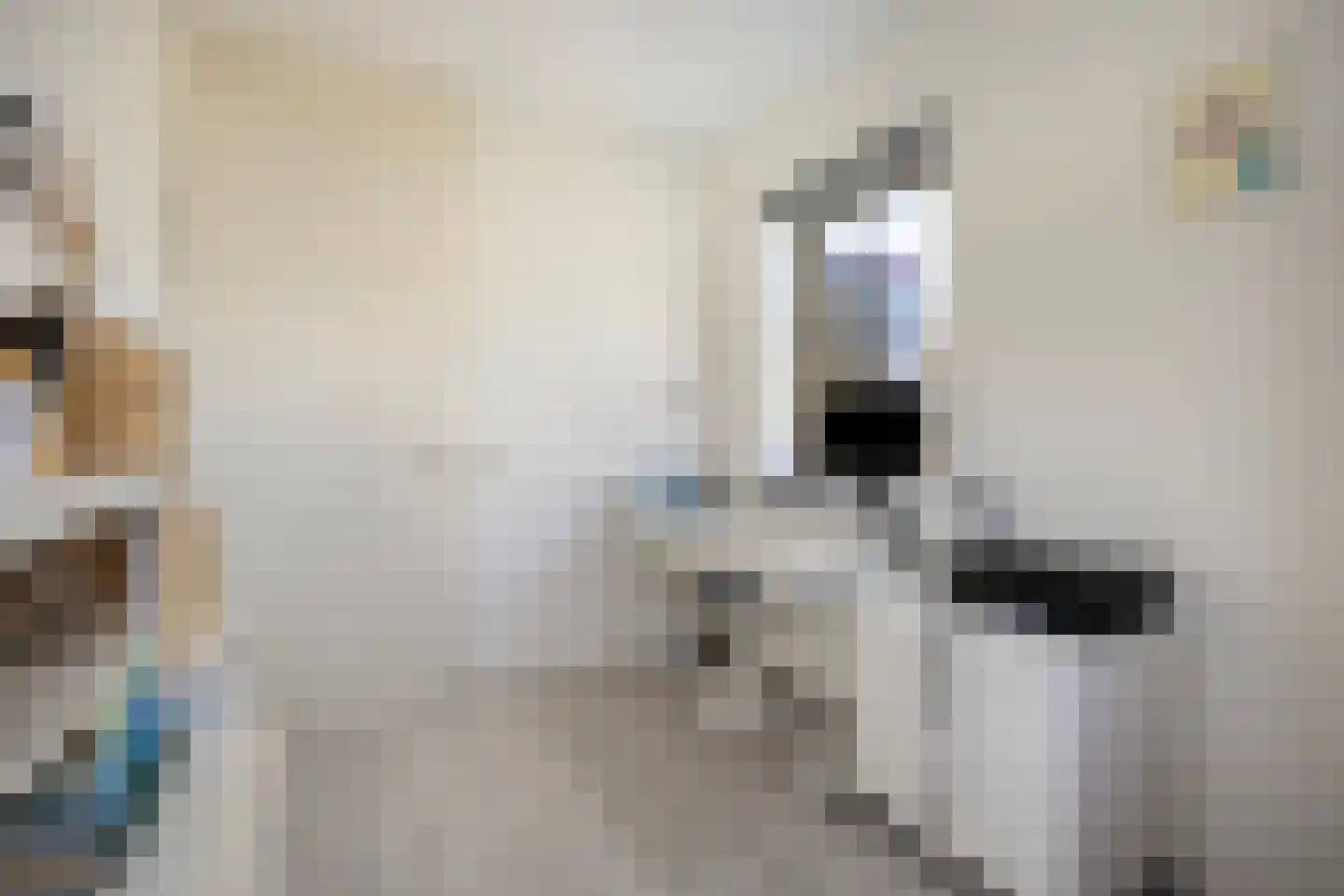 Homerusstraat 756 Rotterdam thumbnail 24