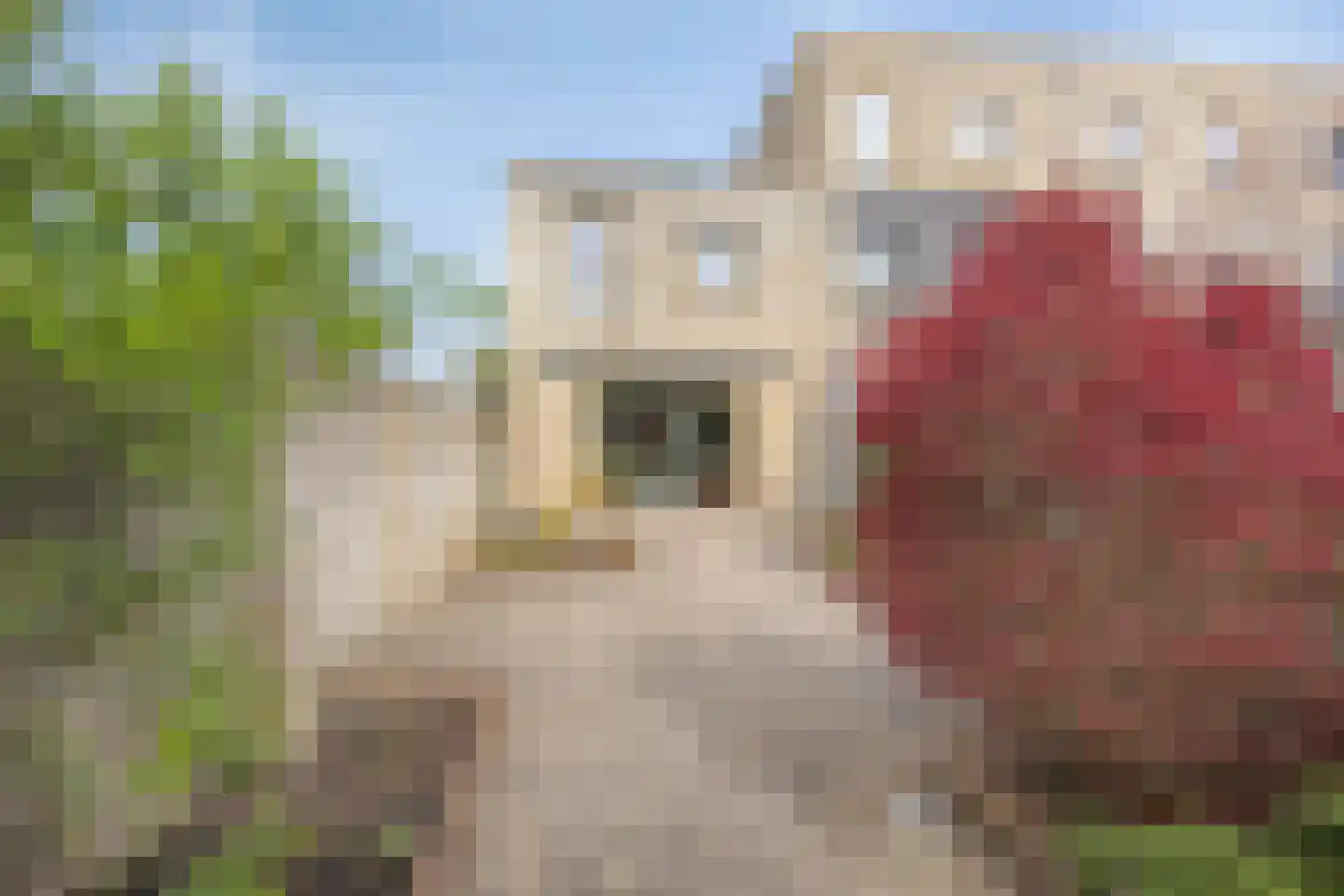 Homerusstraat 756 Rotterdam thumbnail 30