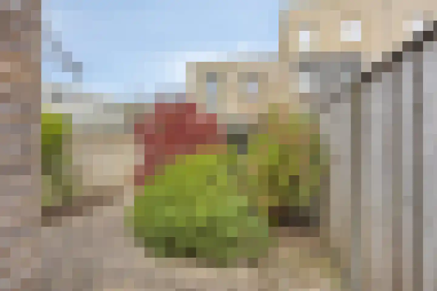 Homerusstraat 756 Rotterdam thumbnail 32