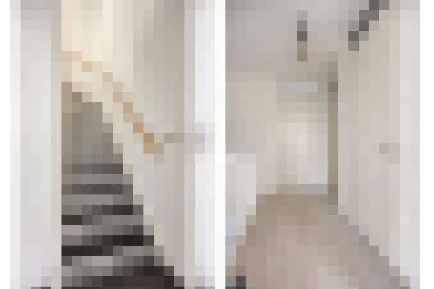 Homerusstraat 756 Rotterdam thumbnail 6