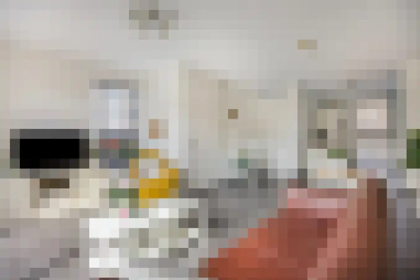 Homerusstraat 756 Rotterdam thumbnail 9