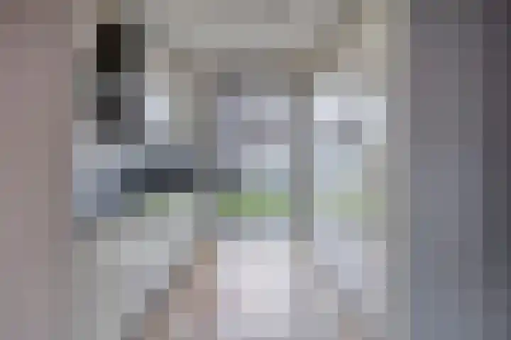 Homerusstraat 757 Rotterdam thumbnail 10