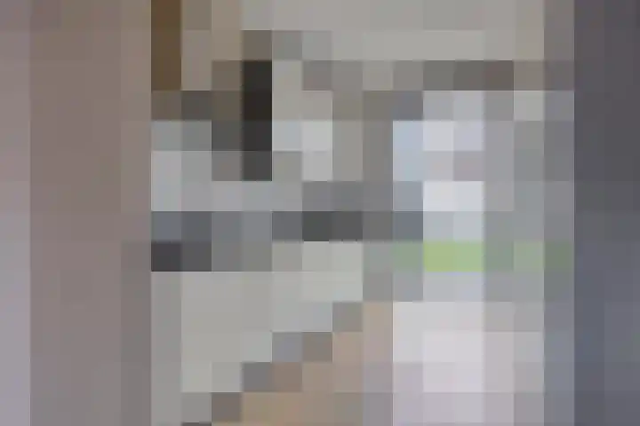 Homerusstraat 757 Rotterdam thumbnail 11
