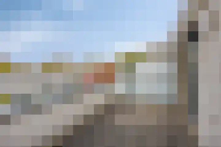 Homerusstraat 757 Rotterdam thumbnail 24