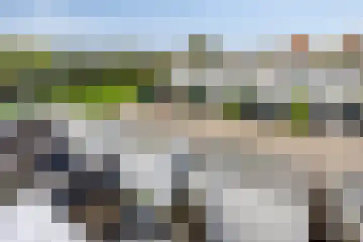 Homerusstraat 757 Rotterdam thumbnail 33