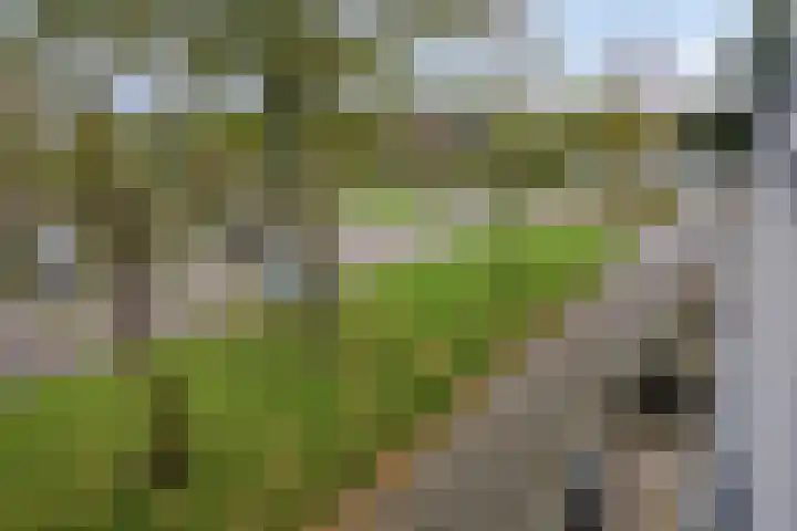Homerusstraat 757 Rotterdam thumbnail 37