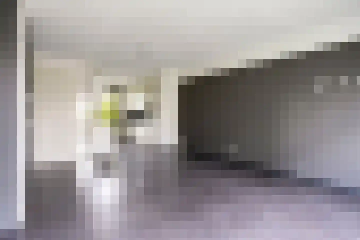 Homerusstraat 785 Rotterdam thumbnail 10