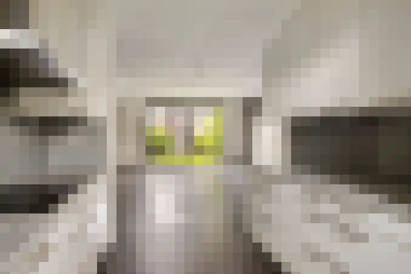 Homerusstraat 785 Rotterdam thumbnail 11