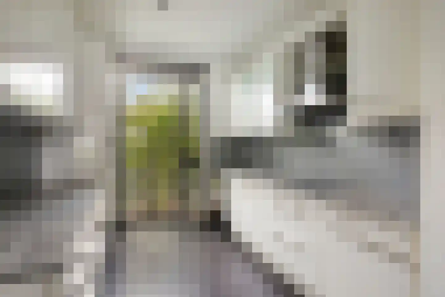 Homerusstraat 785 Rotterdam thumbnail 12