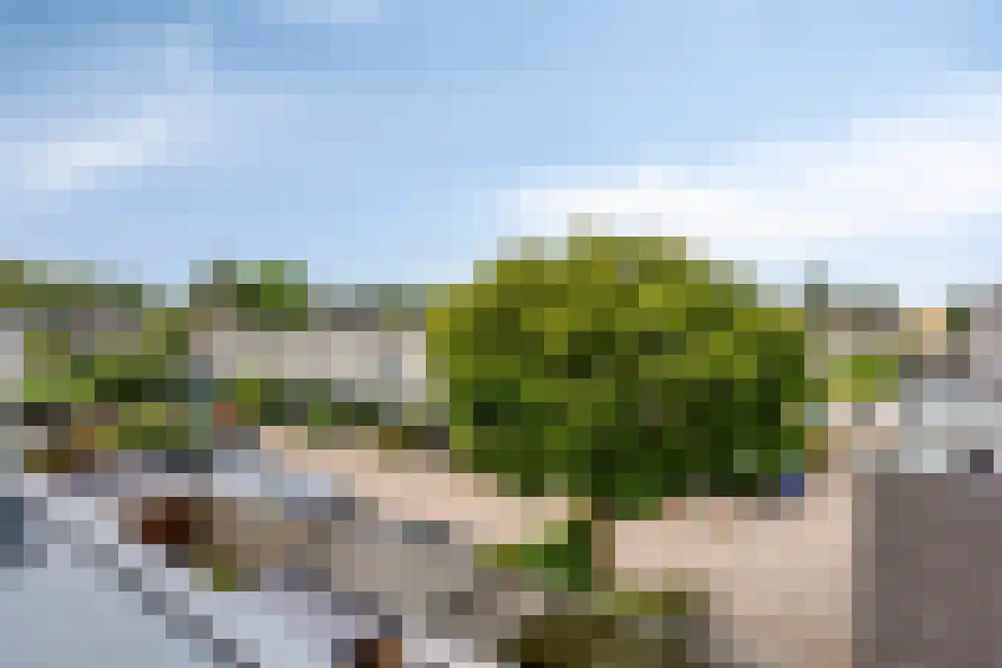 Homerusstraat 785 Rotterdam thumbnail 30