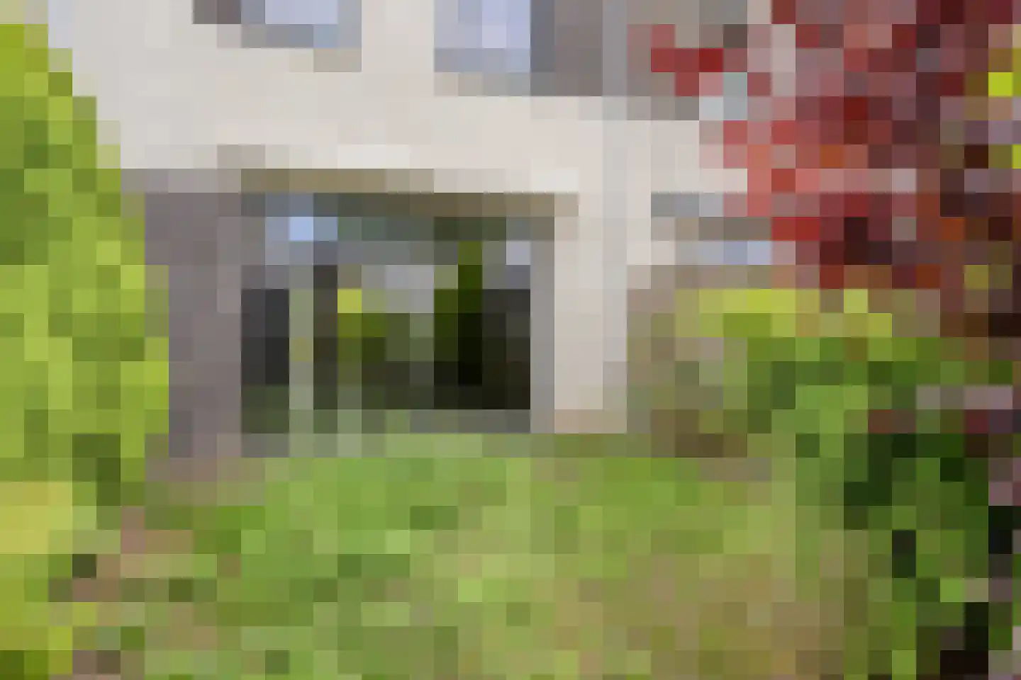 Homerusstraat 785 Rotterdam thumbnail 6